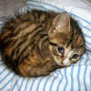 Meet your Posher, Jackie